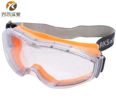 Bionix E303安全眼罩